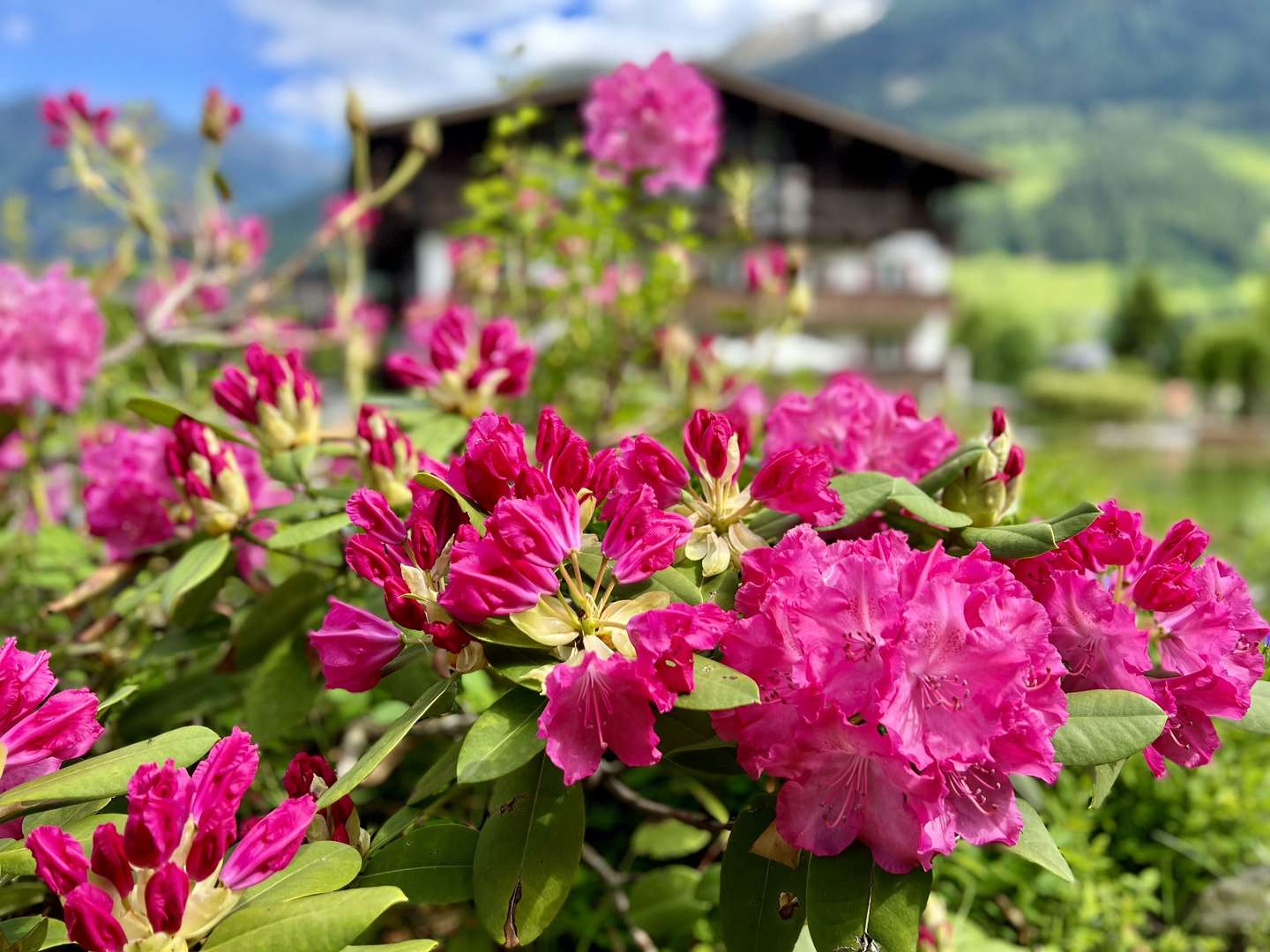 Jänner Special - 4 Tage in der Wildkogel mit Frühstück