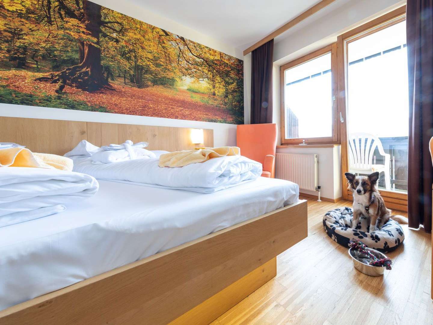 Wanderromantik mit Hund | 5 Nächte inkl. Romantikeisbecher & Frühstück am Zimmer