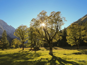 E-Biken im Karwendel inkl. Wahlmenü 