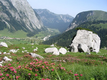 E-Biken im Karwendel inkl. Wahlmenü 