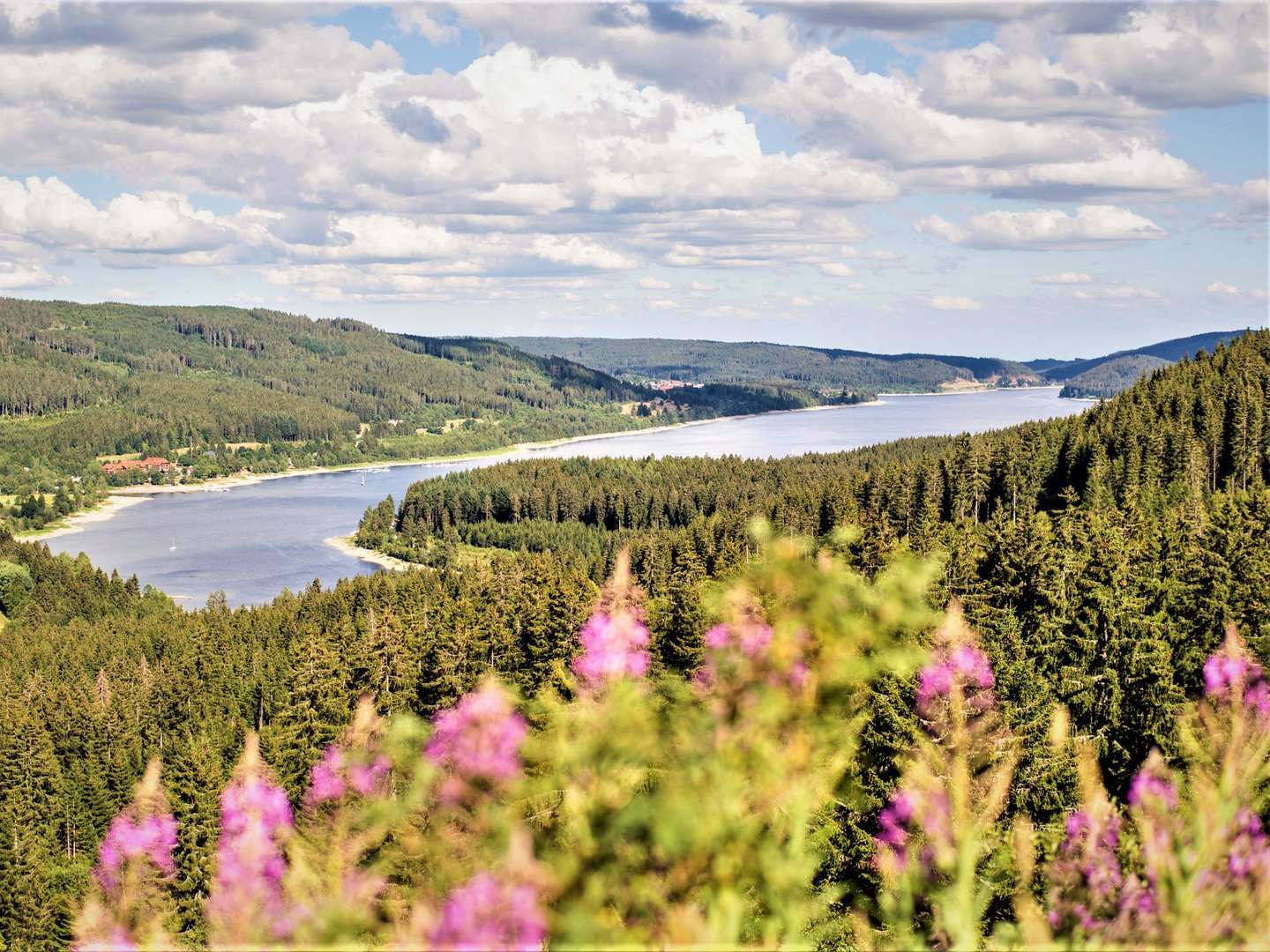 Genießer Tage im Schwarzwald zwischen Schluchsee & Titisee