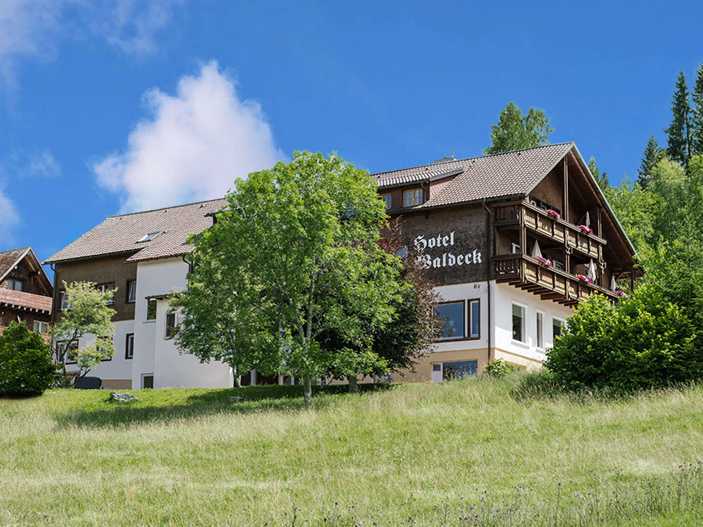 Genießer Tage im Schwarzwald zwischen Schluchsee & Titisee