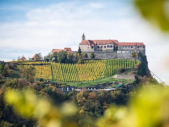 Auf und davon! Naturgenuss im Südosten der Steiermark erleben inkl. Frühstück | 1 Nacht 