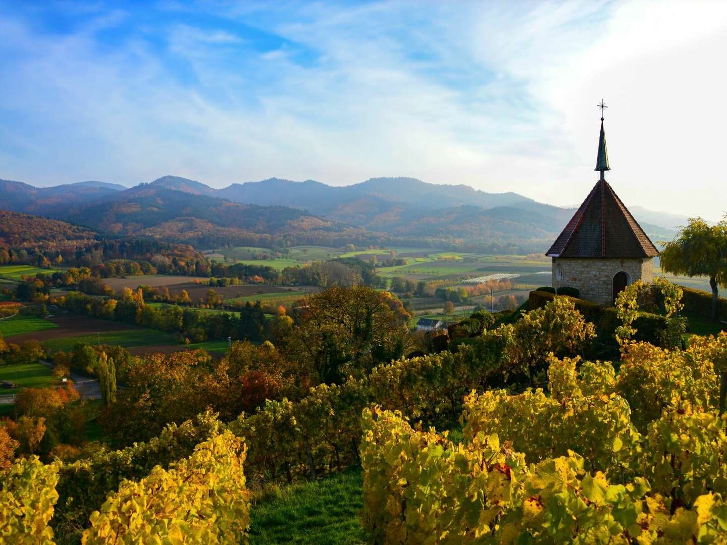 Wein und Genuß | 4 Tage im Markgräflerland