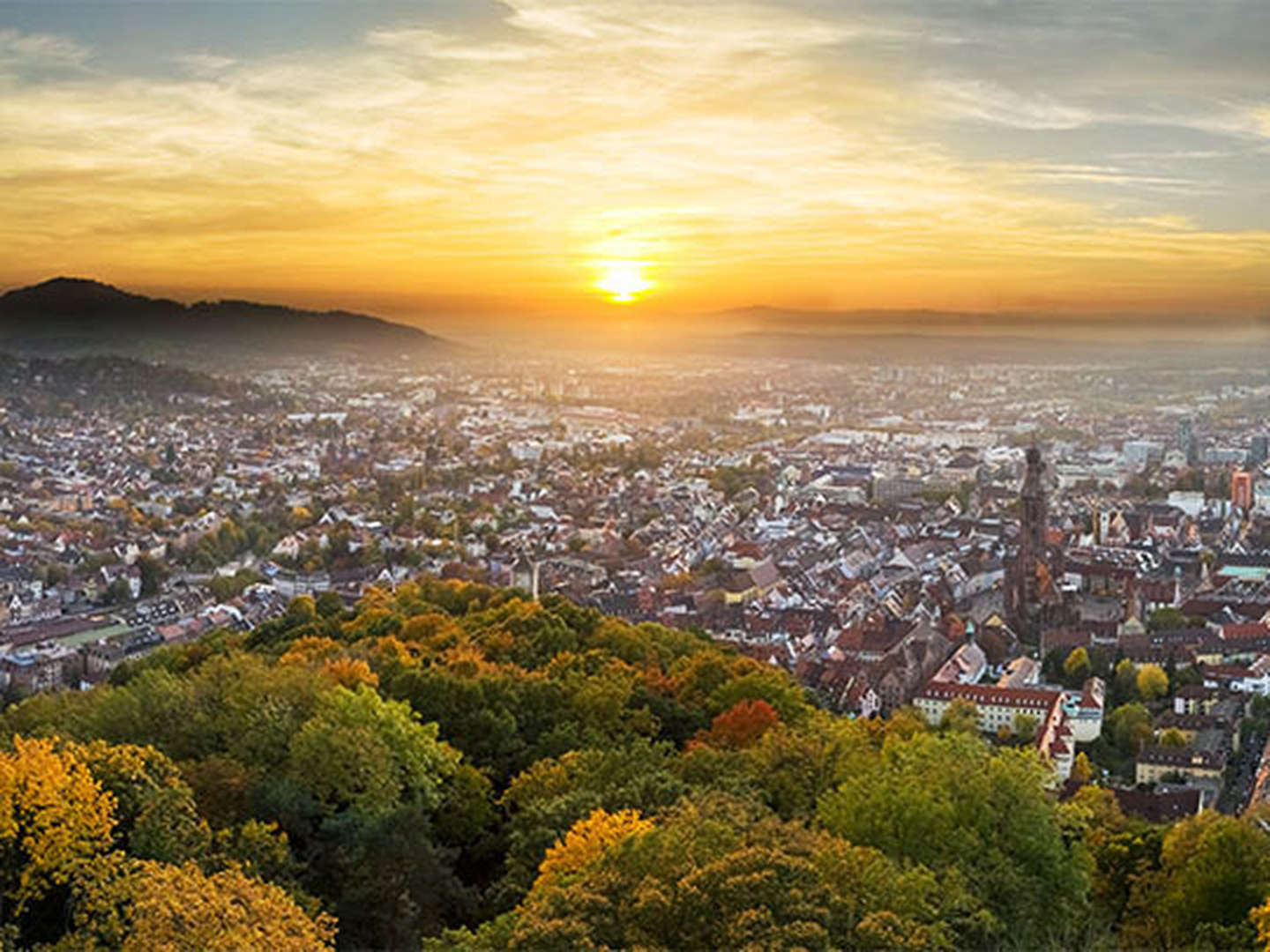 Schönes Land in Sicht! 6 Tage mit dem Fahrrad durchs Markgräflerland 