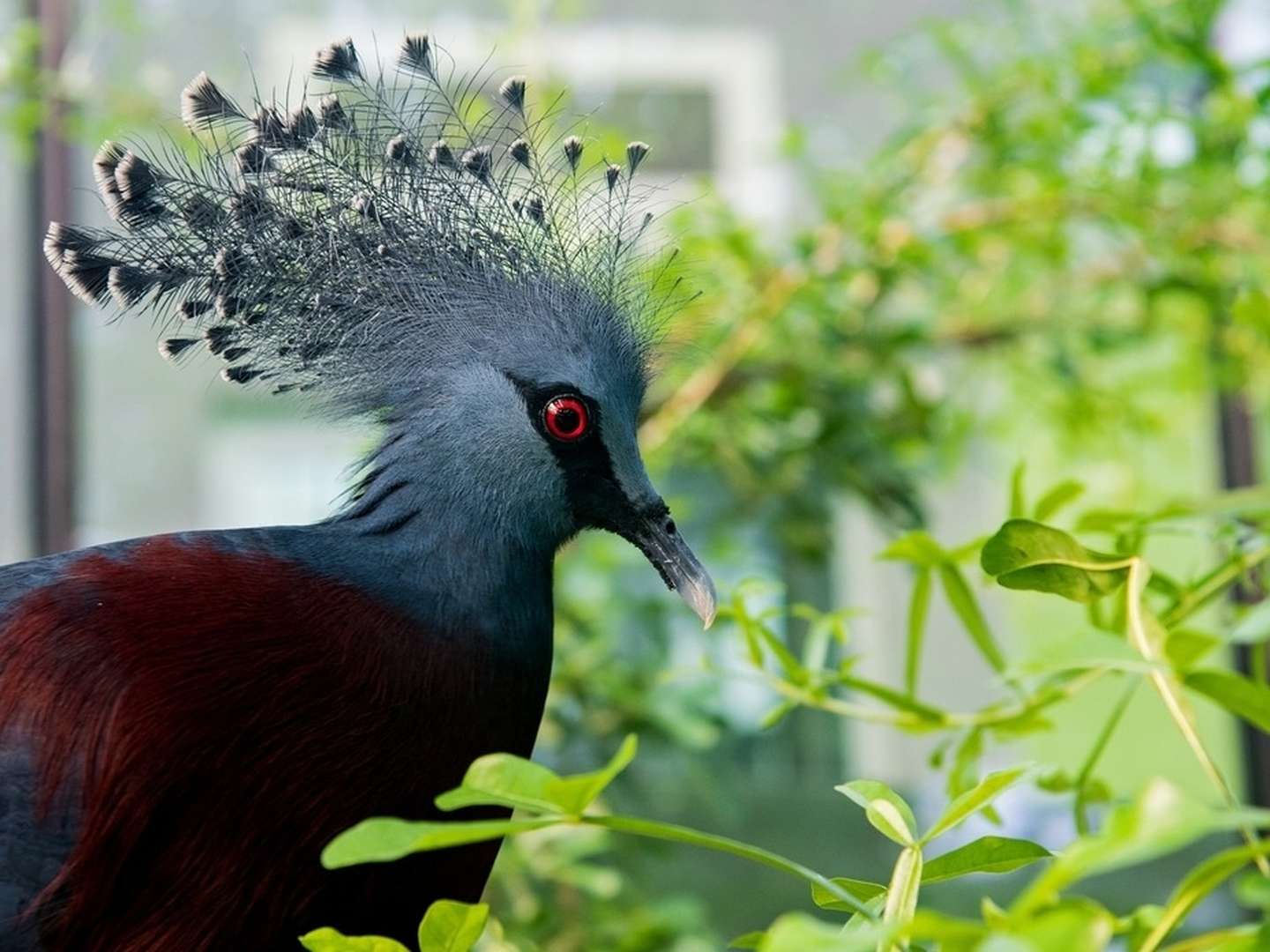 Familienzeit im Artis Zoo Amsterdam | 2 Tage  