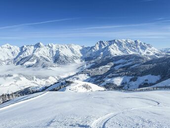 Ein Fest der Sinne: TÖRGGELEN & HEURIGEN in der HOCHKÖNIGIN