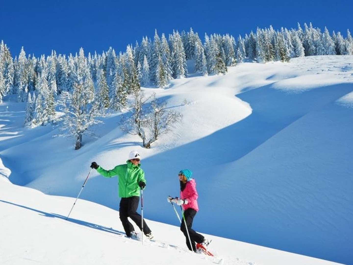 Ein Fest der Sinne: TÖRGGELEN & HEURIGEN in der HOCHKÖNIGIN