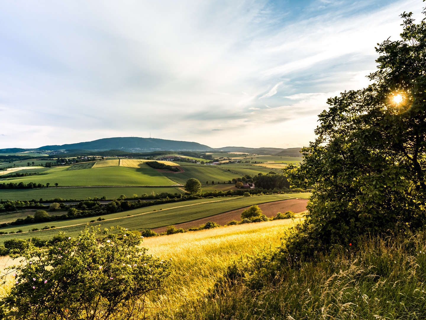 Romantische Auszeit in der Pfalz - inkl. Sekt & Menü 