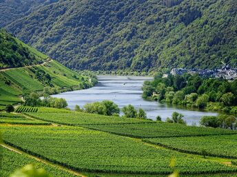 Die Mosel entdecken | 3 Tage