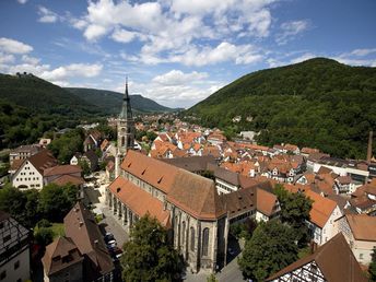 Genießer Land Pur auf der Schwäbischen Alb