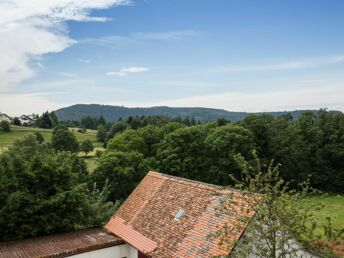 Für Frischluftatmer im Schwarzwald