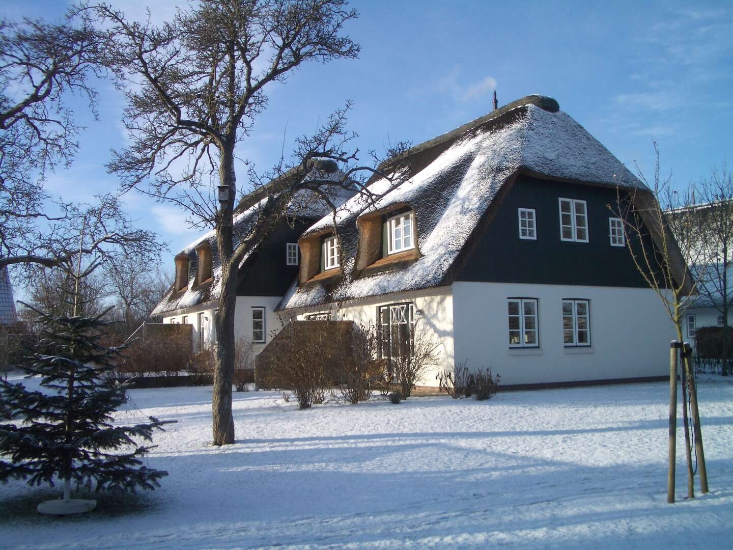 Inselschnuppern auf Föhr