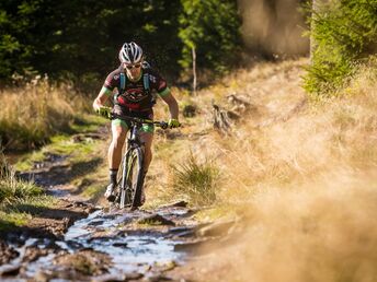 Blockline - DAS Bike Erlebnis im Erzgebirge!