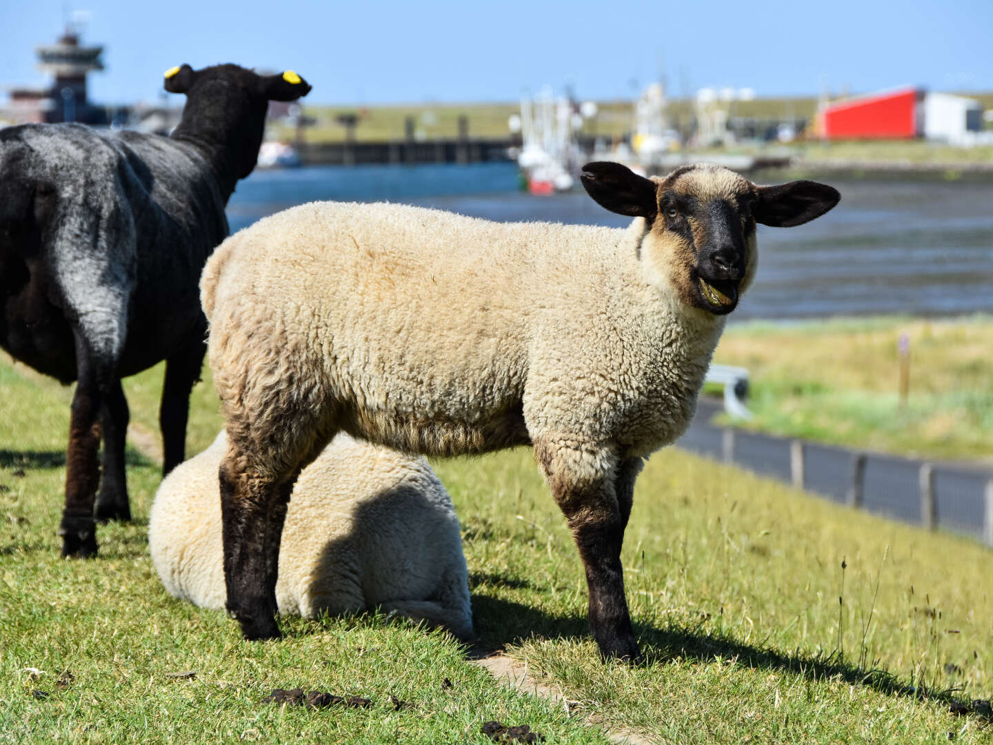 Nordsee Kurzurlaub inkl. Badespaß