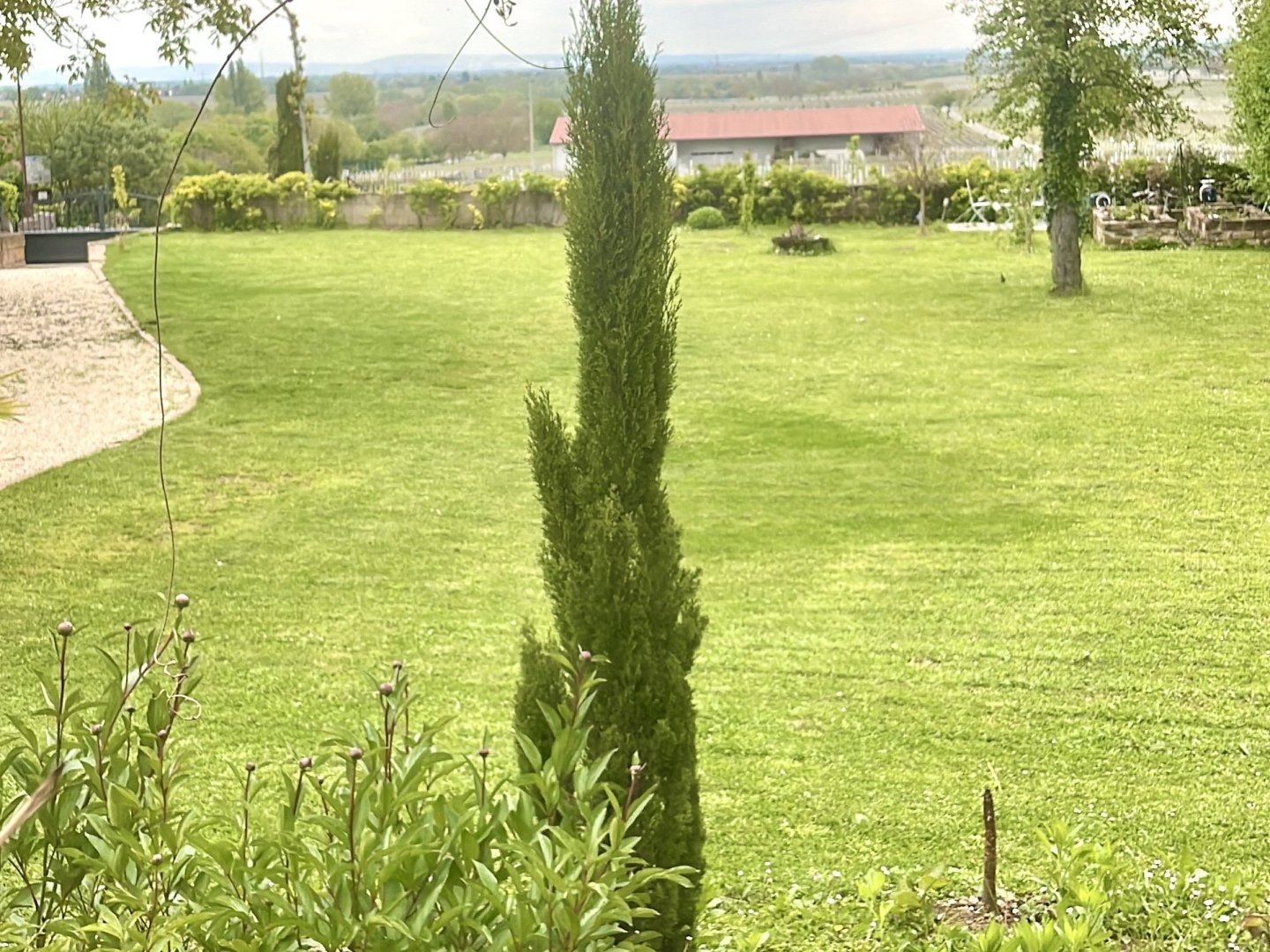 Mandelblütenzauber in der Villa Delange