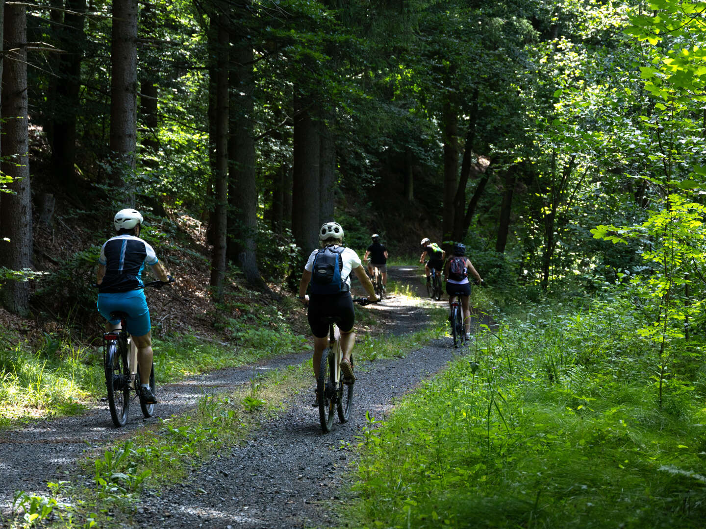 Waldviertler Aktivurlaub beim Stausee Ottenstein mit Abendbuffet  | 4 Nächte