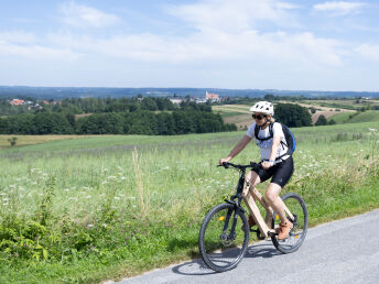 Sommergenuss im Waldviertel am Stausee inkl. Halbpension | 2 Nächte