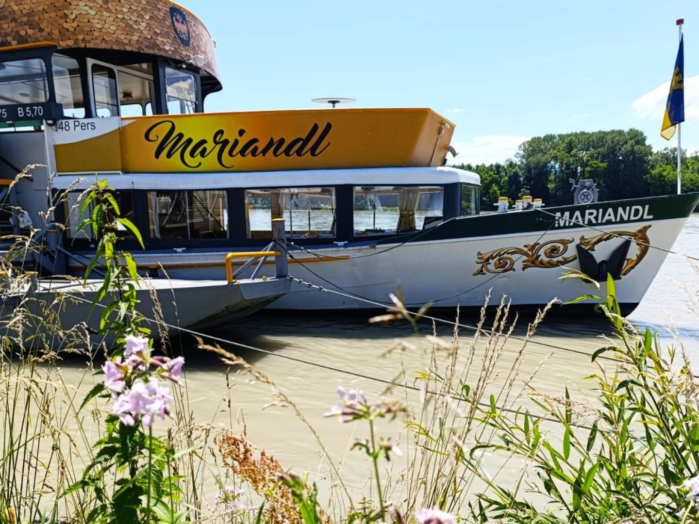 Natururlaub nahe Stausee Ottenstein im Waldviertel inkl. Abendbuffet | 4 Nächte