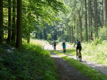 Waldviertler E-Bike Abenteuer in Ottenstein inkl. geführter Tour & regionaler Verkostungen | 2 Nächte