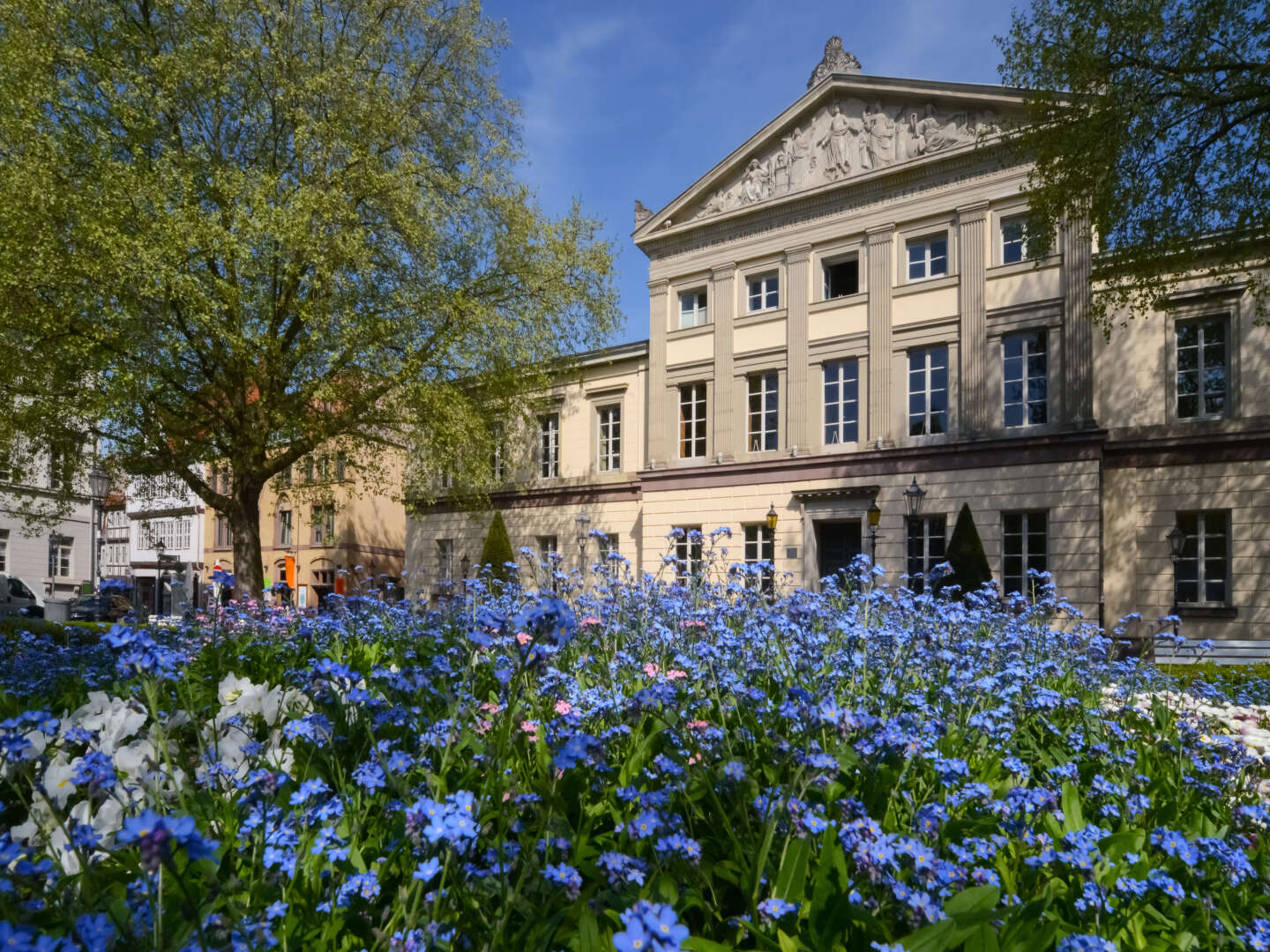 8 Tage - One week - Entspannung pur in Göttingen inkl. 3-Gang Menü 