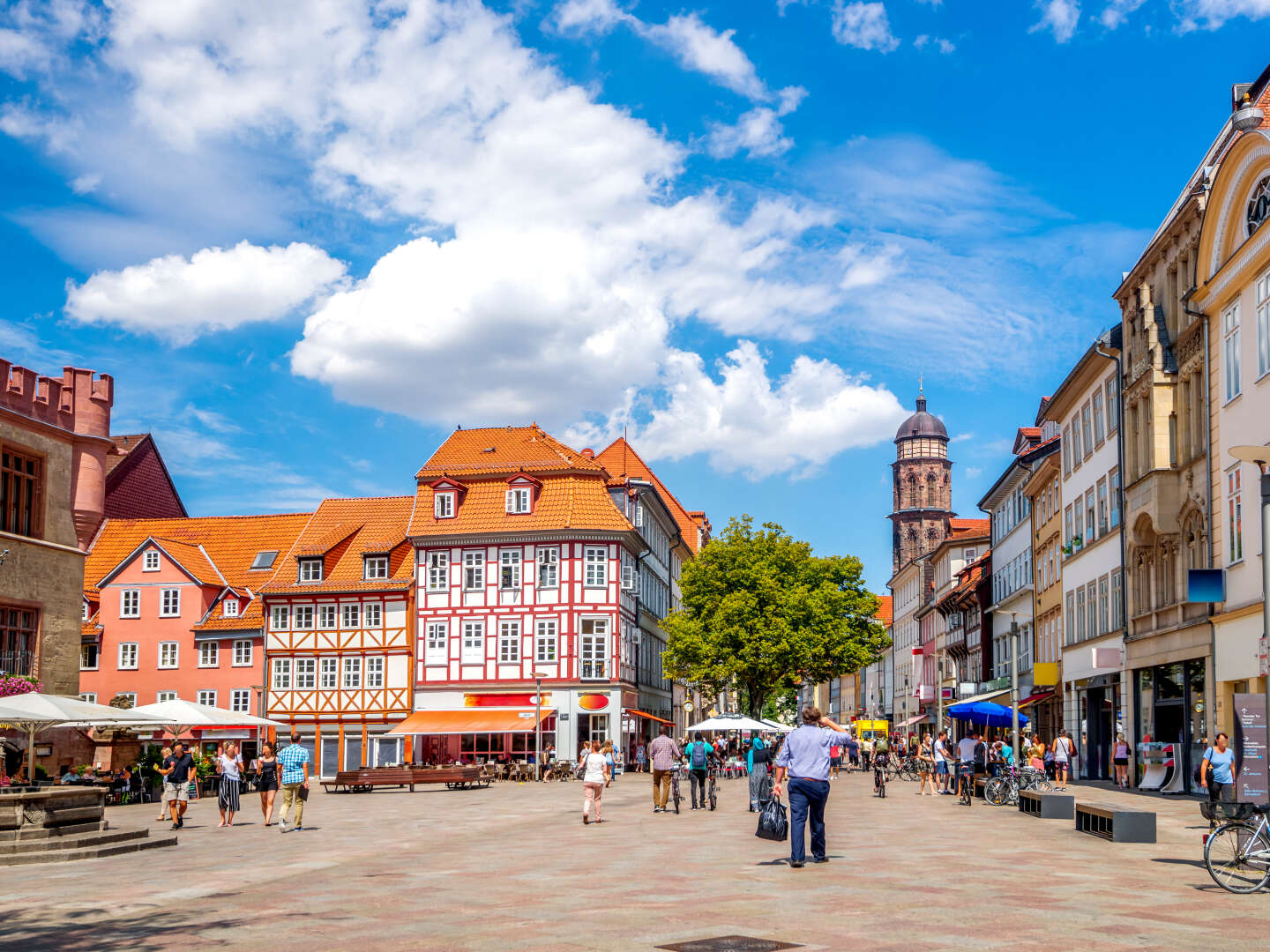 Wissenshunger im Forum Wissen in Göttingen | 3 Tage