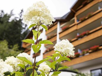 Auszeit in den Bergen für Groß & Klein - Frühstücksspezial im Hotel St. Oswald | 5 Nächte  