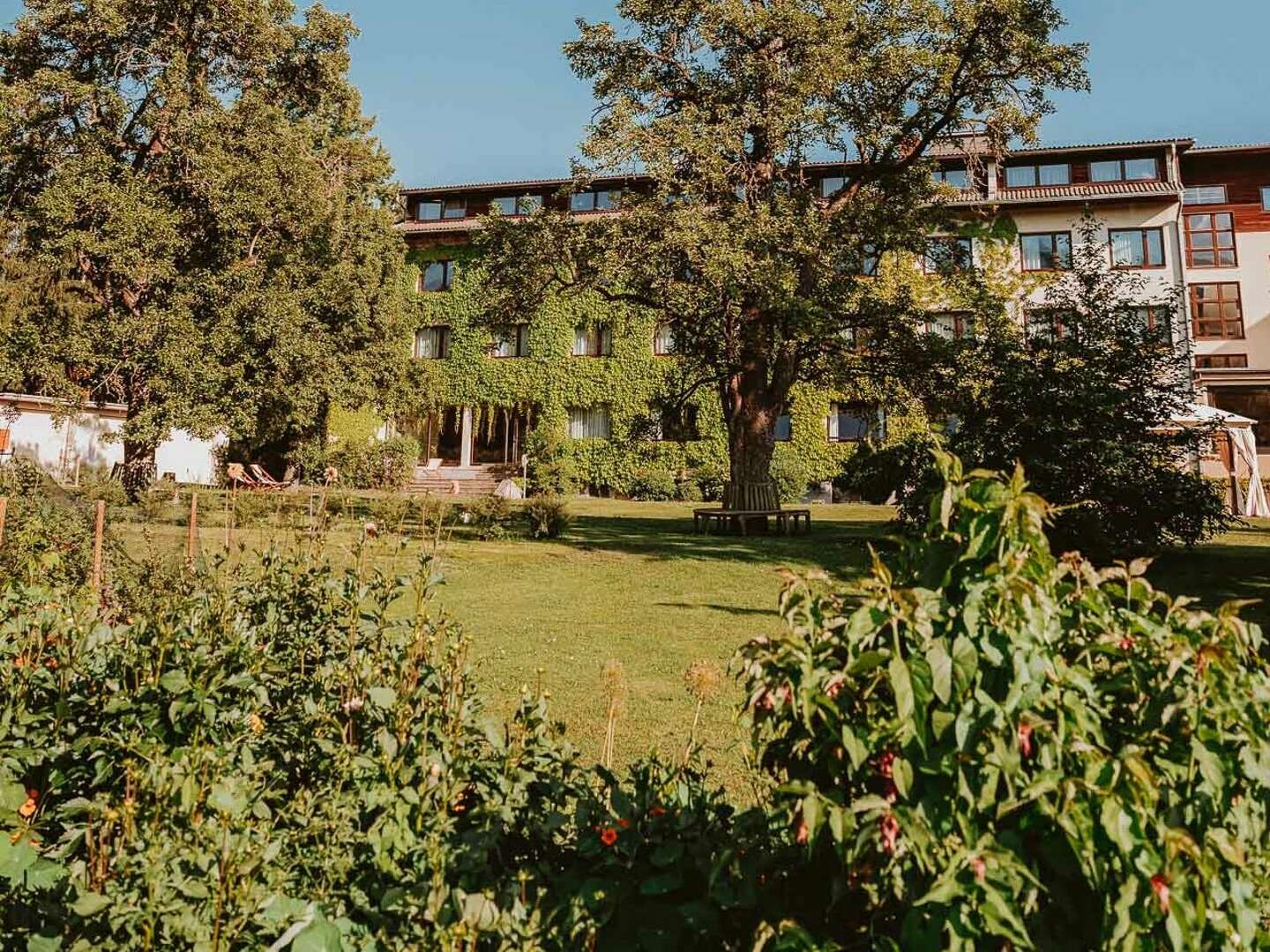 Im grünen Herzen der Steiermark inkl. Dinner bei Kerzenschein