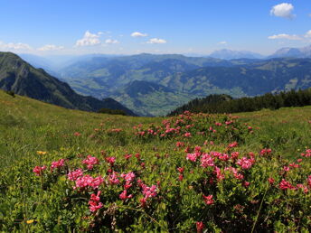 Februar Wedelwoche in den Salzbuger Bergen 