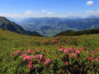 Berge, Almen, Sommer - Urlaub mit Wandervergnügen im Großarltal | 4 Nächte