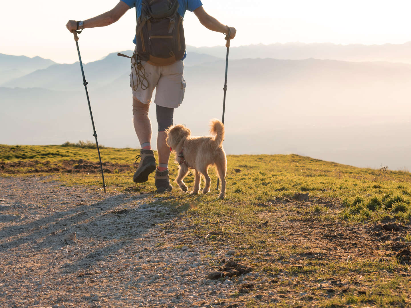 Kurzurlaub mit Ihrem Vierbeiner in Tirol | 3 Nächte