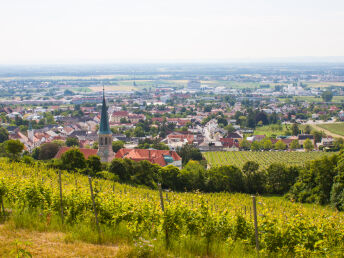 Golfurlaub im Winzerhotel****Gumpoldskirchen I 4 Nächte