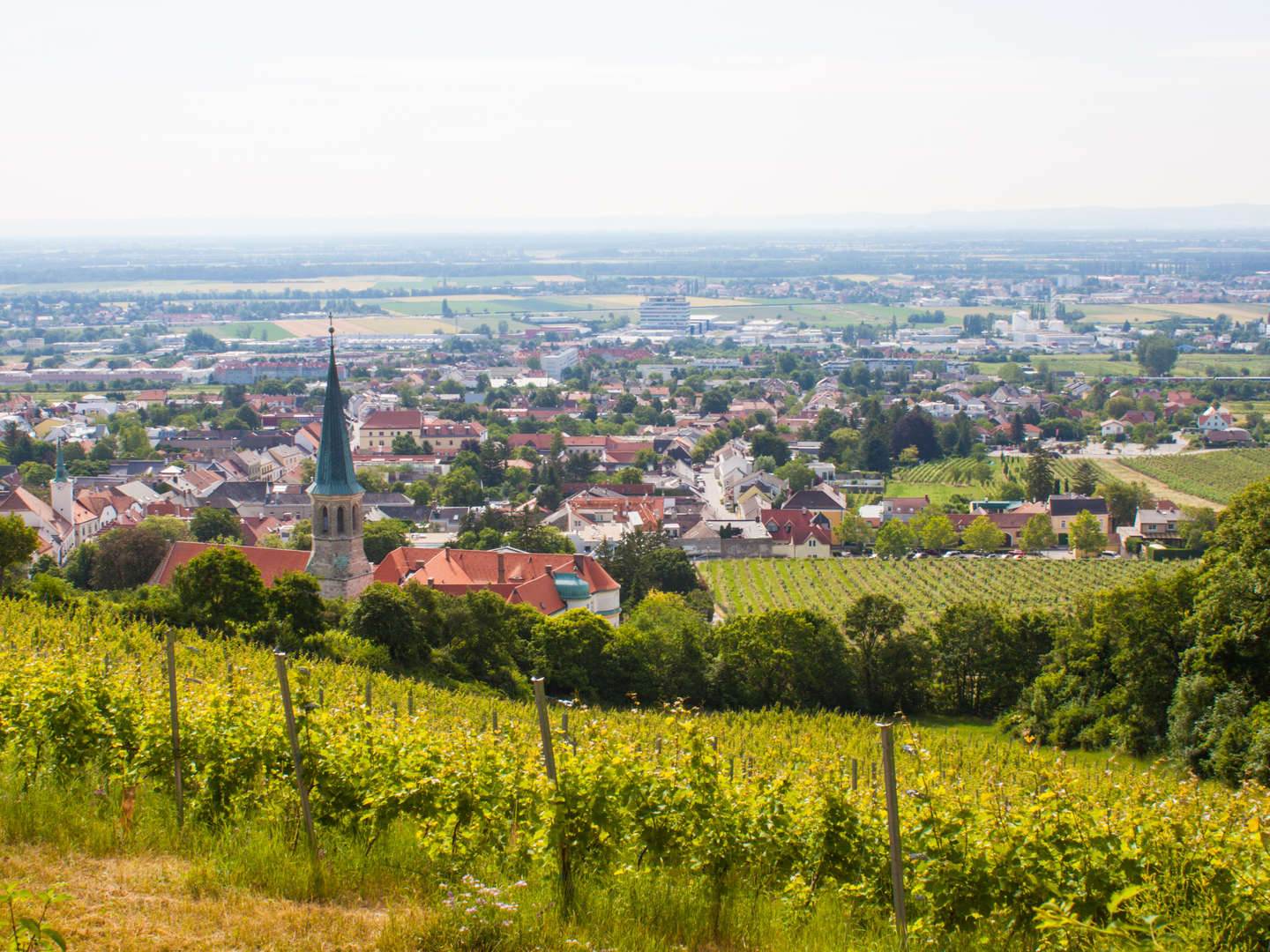 Auszeit im idyllischen Gumpoldskirchen im Wienerwald | 5 Nächte