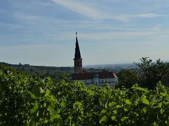 Ostern im Winzerhotel****Gumpoldskirchen