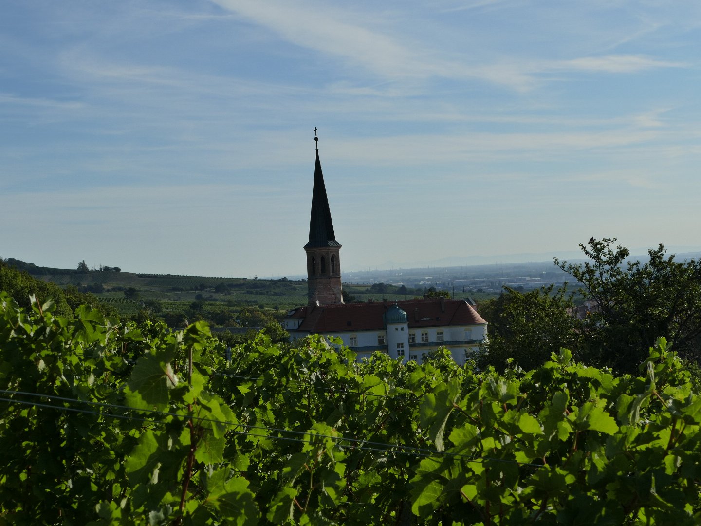 Ostern im Winzerhotel****Gumpoldskirchen