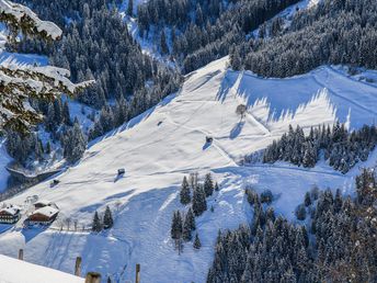 RausZeit im Salzburger Land inkl. Kulinarik & Schnapserl