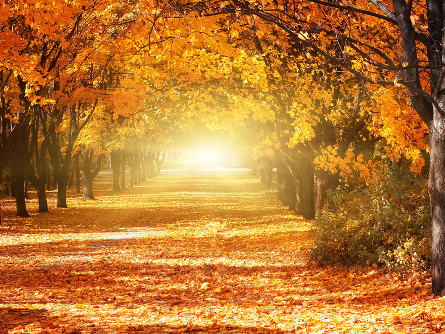 Bauernherbst im Tal der Almen inkl. Begrüßungsschnapserl