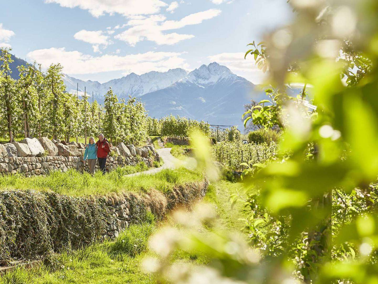 6 Nächte im 4**** MONDI Hotel Tscherms - dem Urlaubsidyll mit italienischem Flair