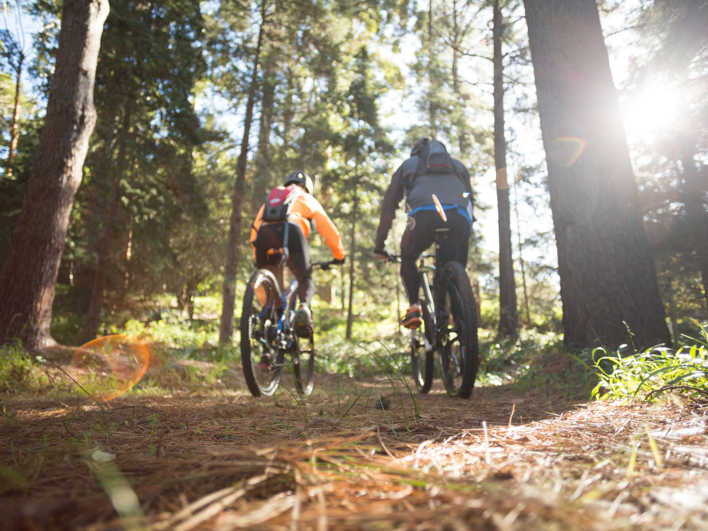 Mit dem Fahrrad rund um das Rittergut  inkl. 2-Gang-Menü & Wellnessmassage Bed&BikeTor zum Sauerland