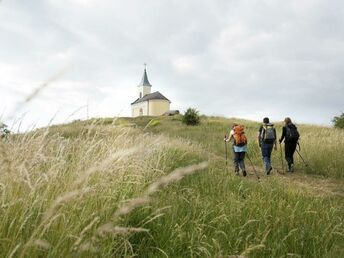 Urlaub im Weinviertel inkl. Eintritt in DIE GARTEN TULLN | 1 Nacht