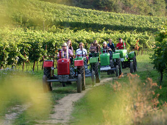 Kurzurlaub Natur pur - Auszeit genießen im Weinviertel | 1 Nacht