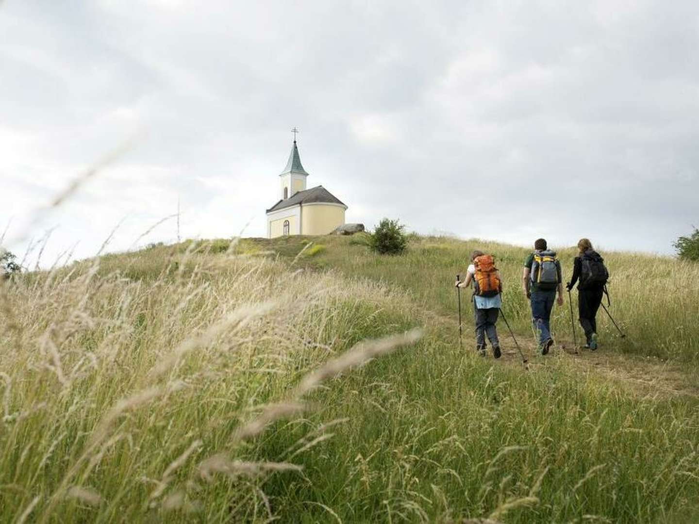 Kurzurlaub Natur pur - Auszeit genießen im Weinviertel | 2 Nächte