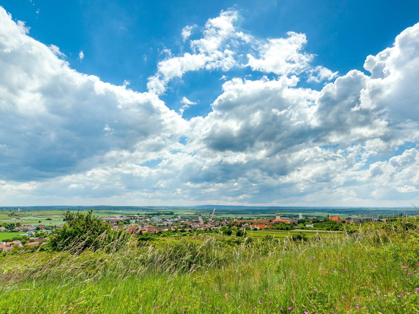 Kurzurlaub Natur pur - Auszeit genießen im Weinviertel | 2 Nächte