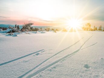 4 Tage Skiurlaub in Vorarlberg  