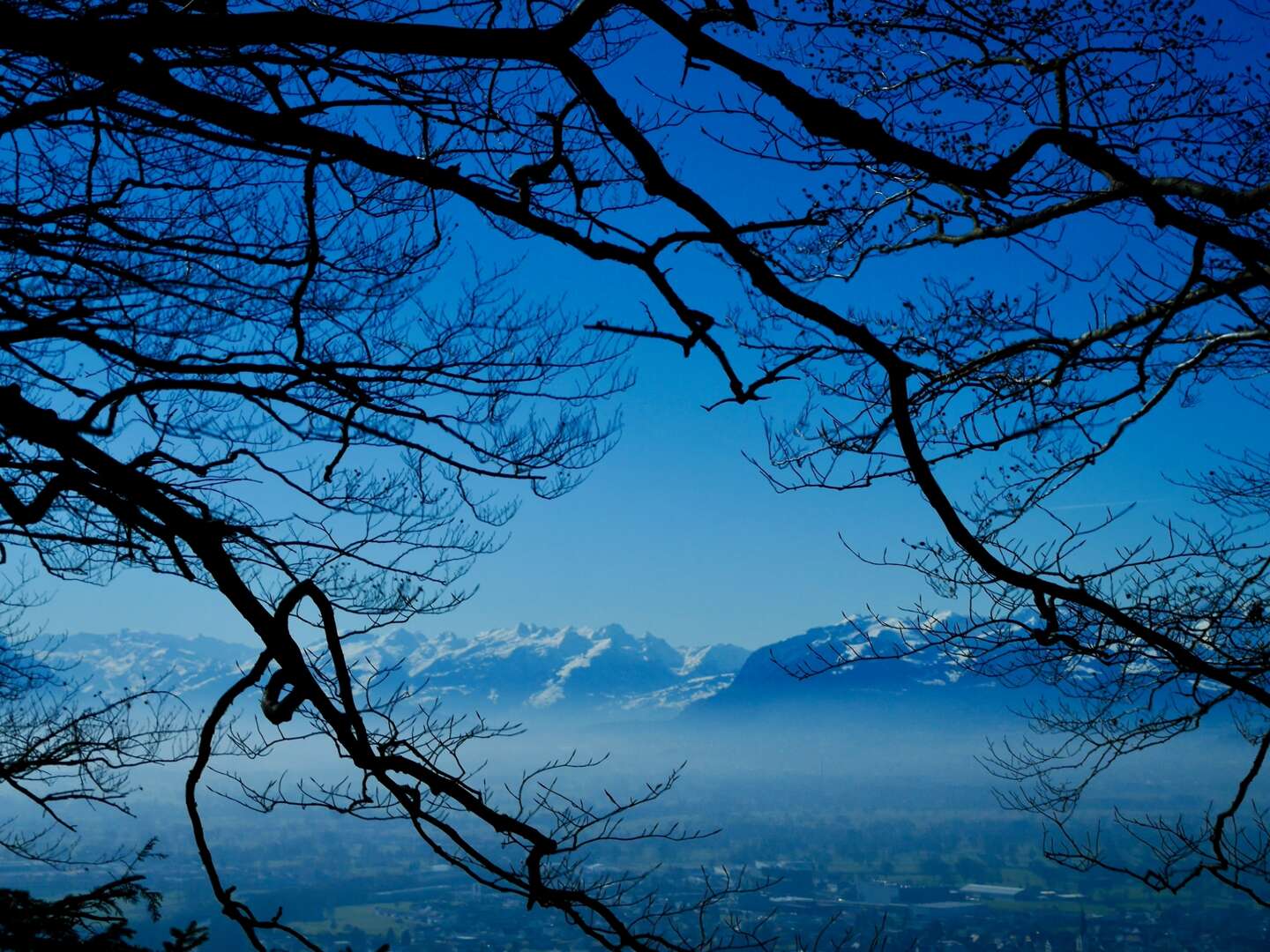 Kurzurlaub nahe Bodensee in Vorarlberg + | 2 Nächte