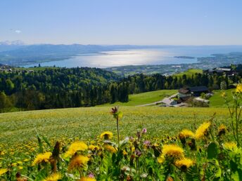 Kurzurlaub nahe Bodensee in Vorarlberg ++  | 3 Nächte