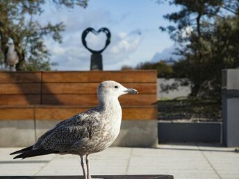 Gemütliches Hotel 500 m vom Strand | 3 ÜF