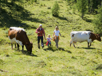 Aktivurlaub im Salzburger Land mit Wellnessgenuss & GasteinCard | 6 Nächte