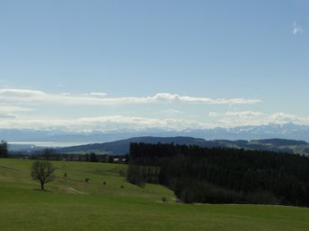 Höchsten Auszeit - mit Blick auf Bodensee & Alpen  genießen