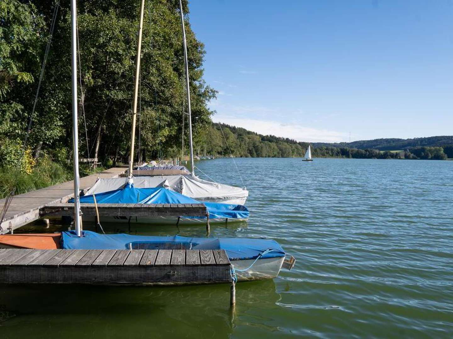 Höchsten Auszeit - mit Blick auf Bodensee & Alpen  genießen